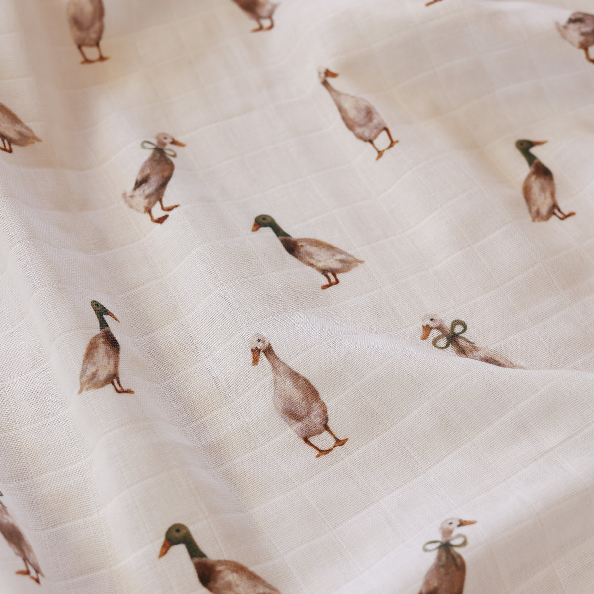Fledge & Thread