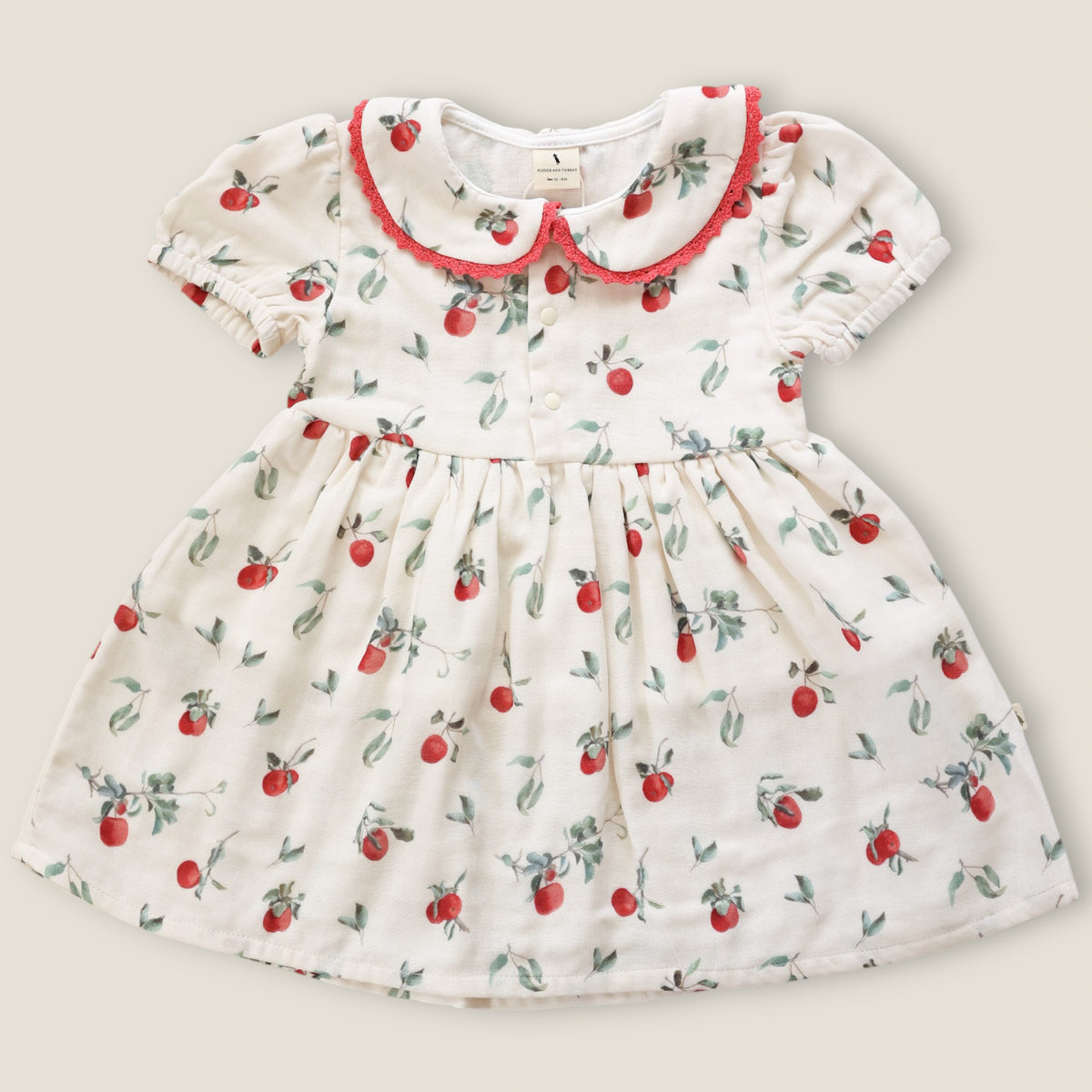 Fledge & Thread Dress (Apple)