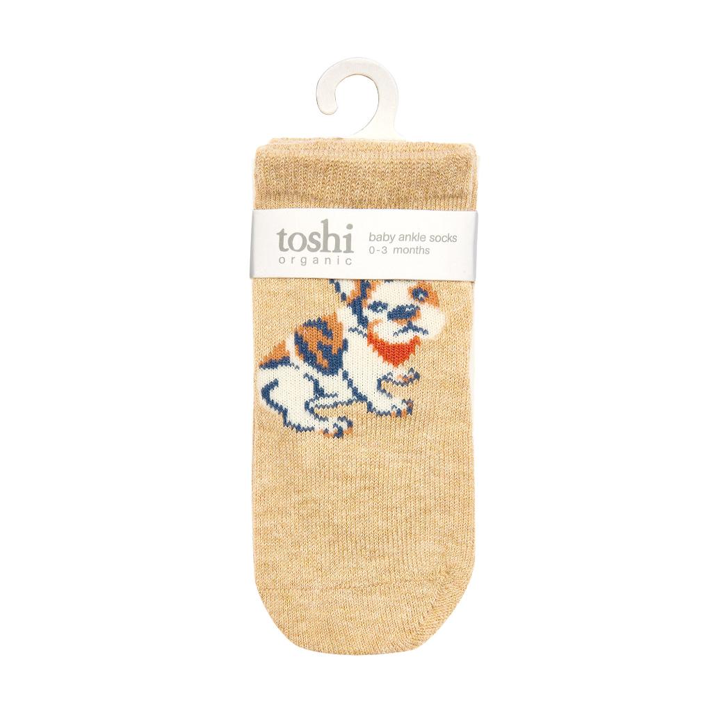 Toshi