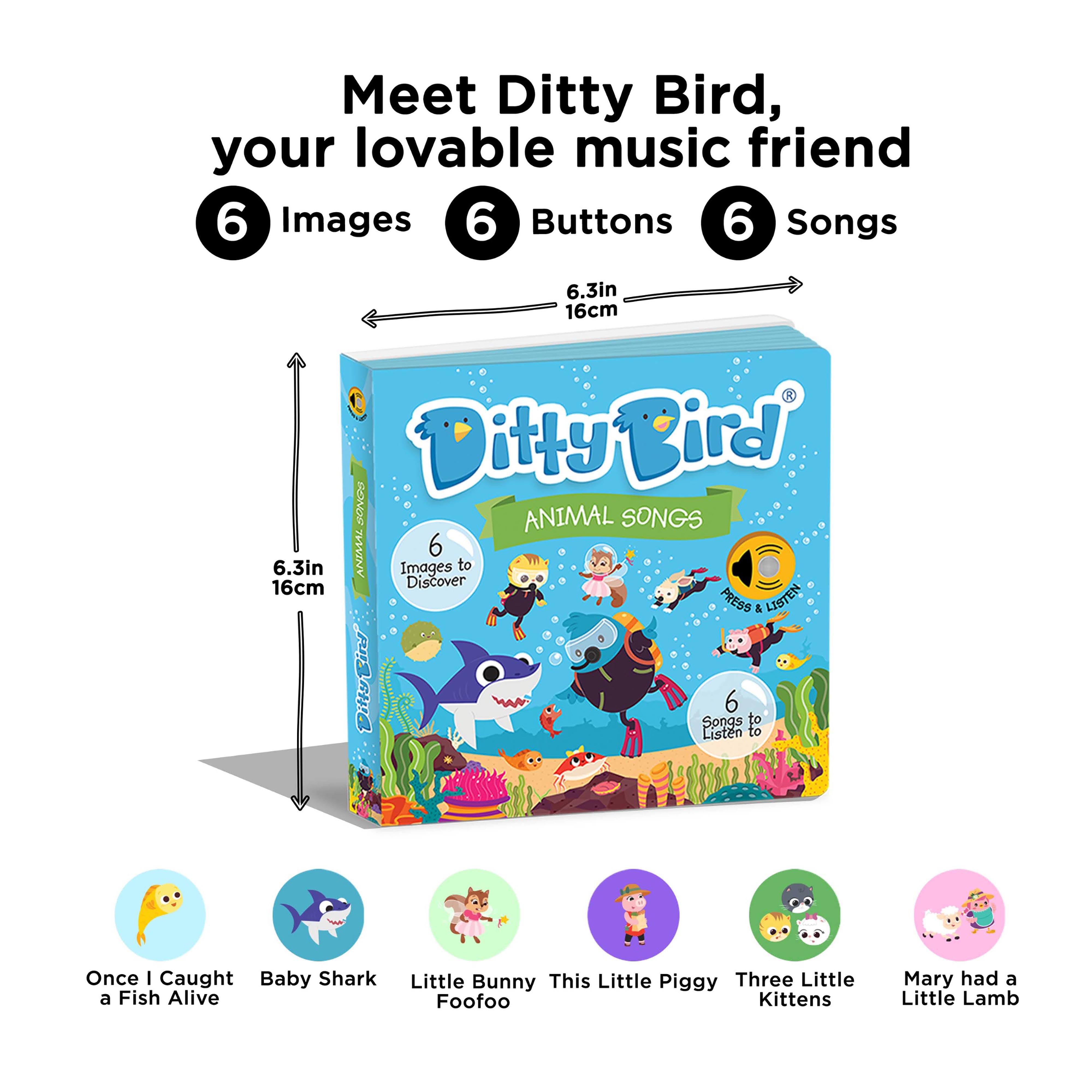 Ditty Bird
