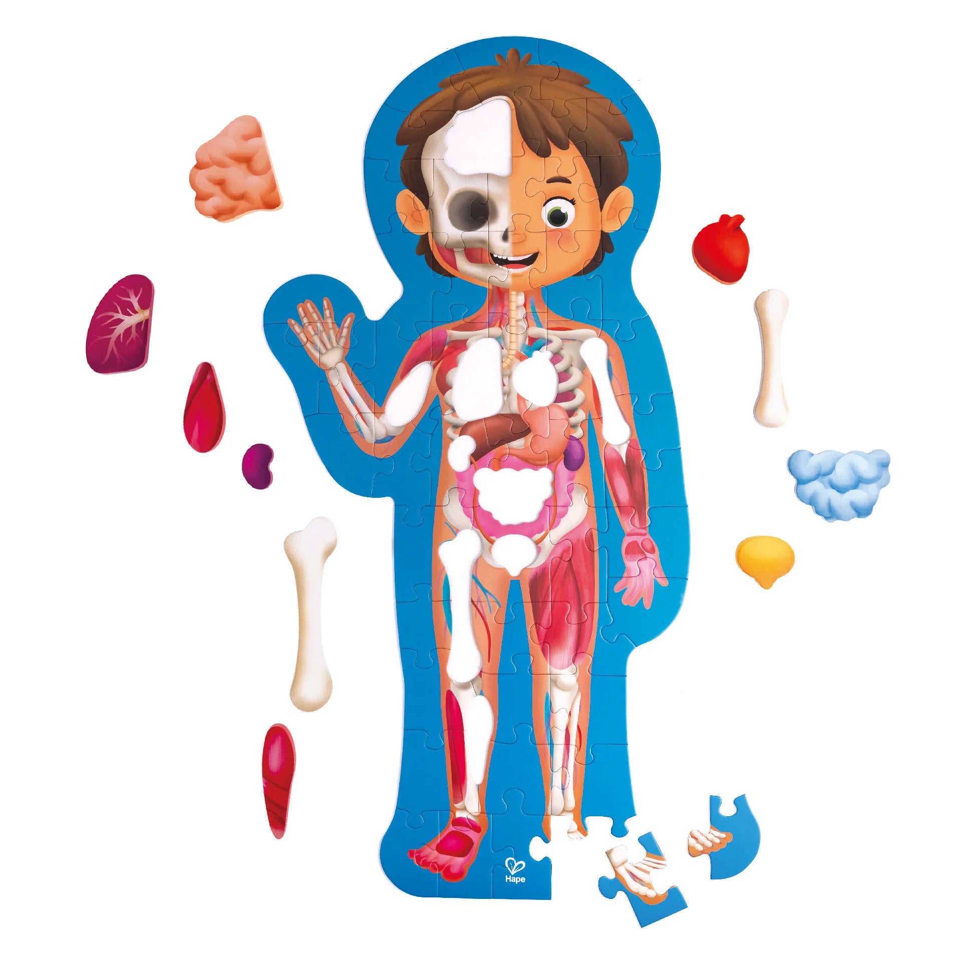 Hape 60 Piece Human Body Puzzle