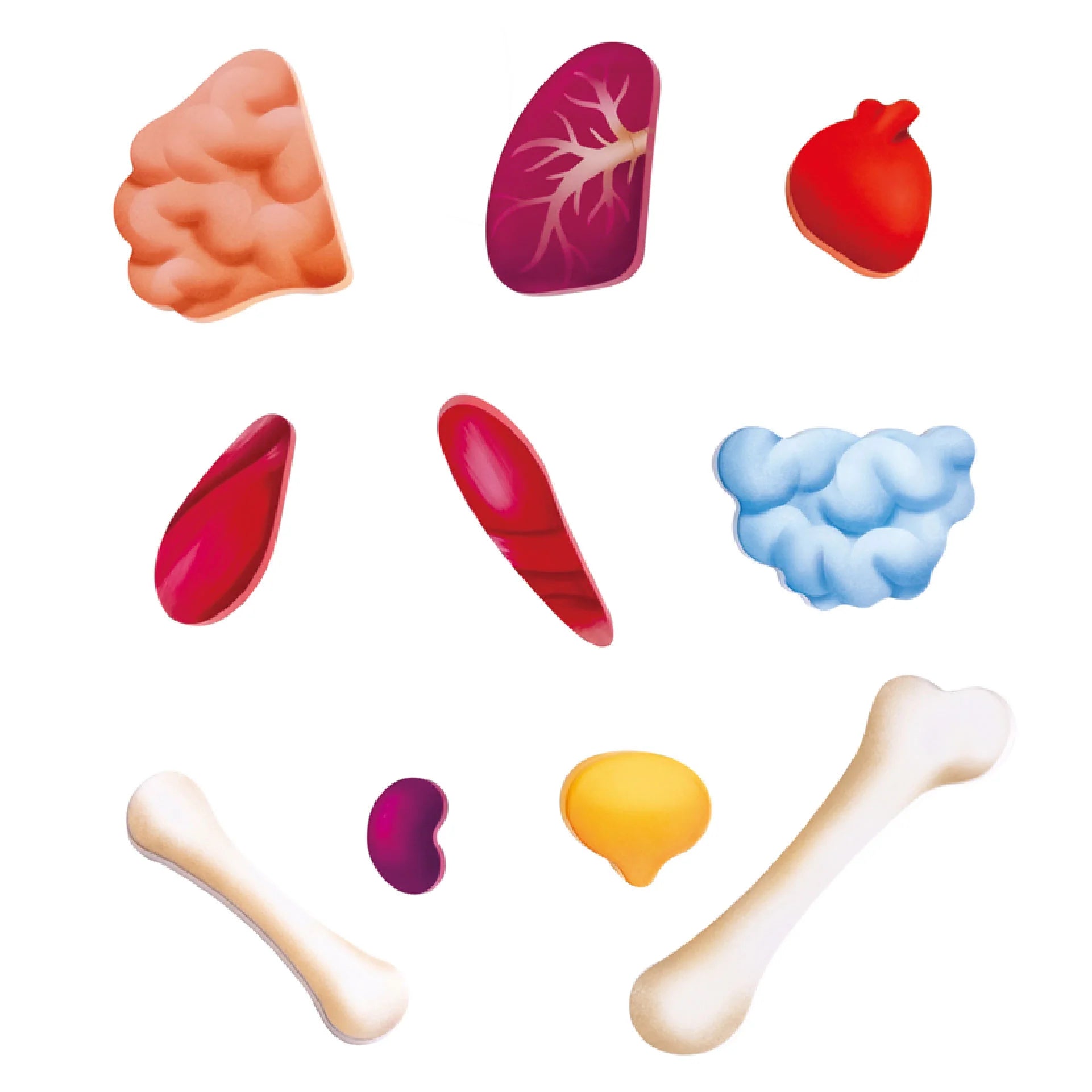 Hape 60 Piece Human Body Puzzle