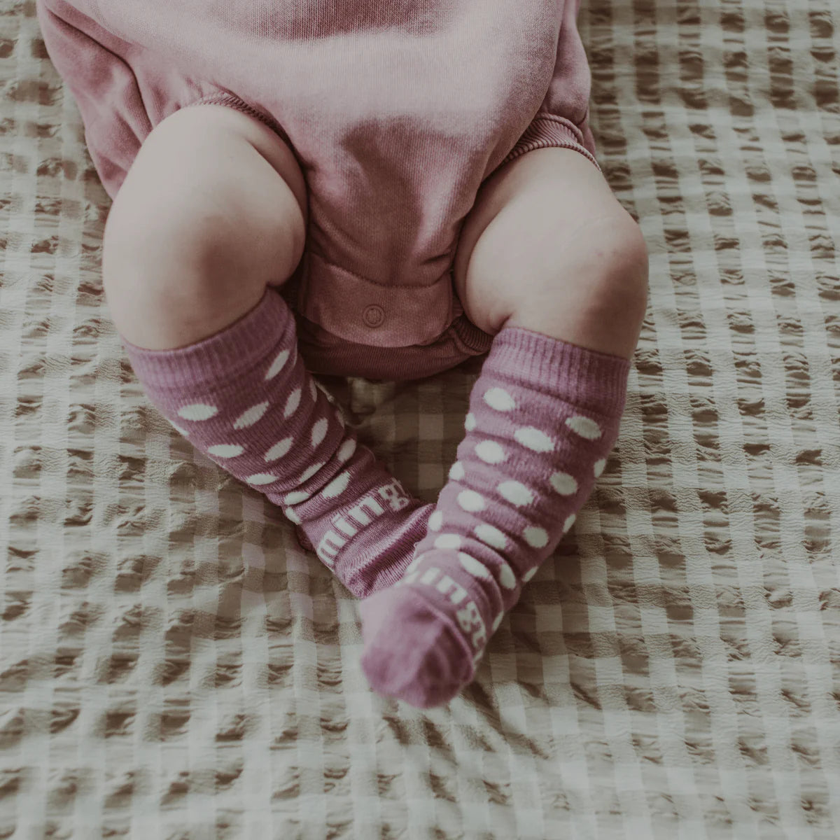 Lamington Socks
