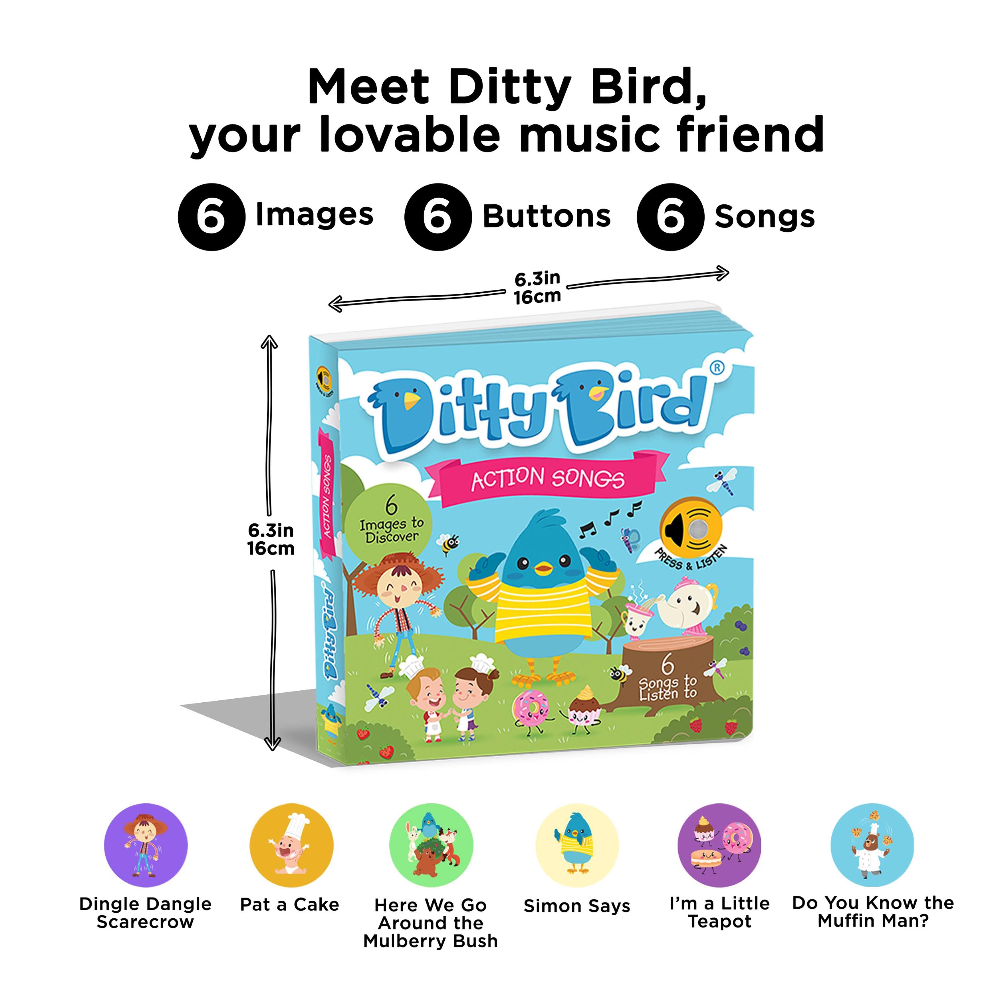 Ditty Bird