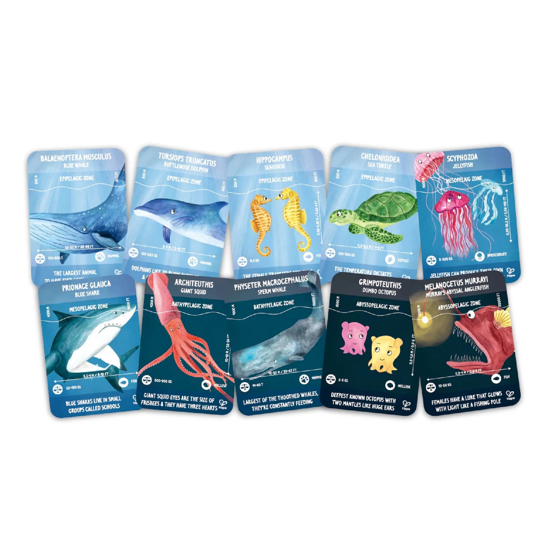 Hape 200pc Glowing Ocean Life Puzzle