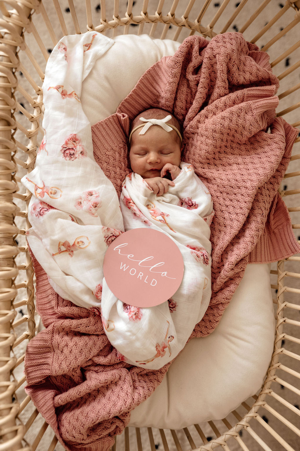 snugglehunny milestone cards in ballerina & rosa