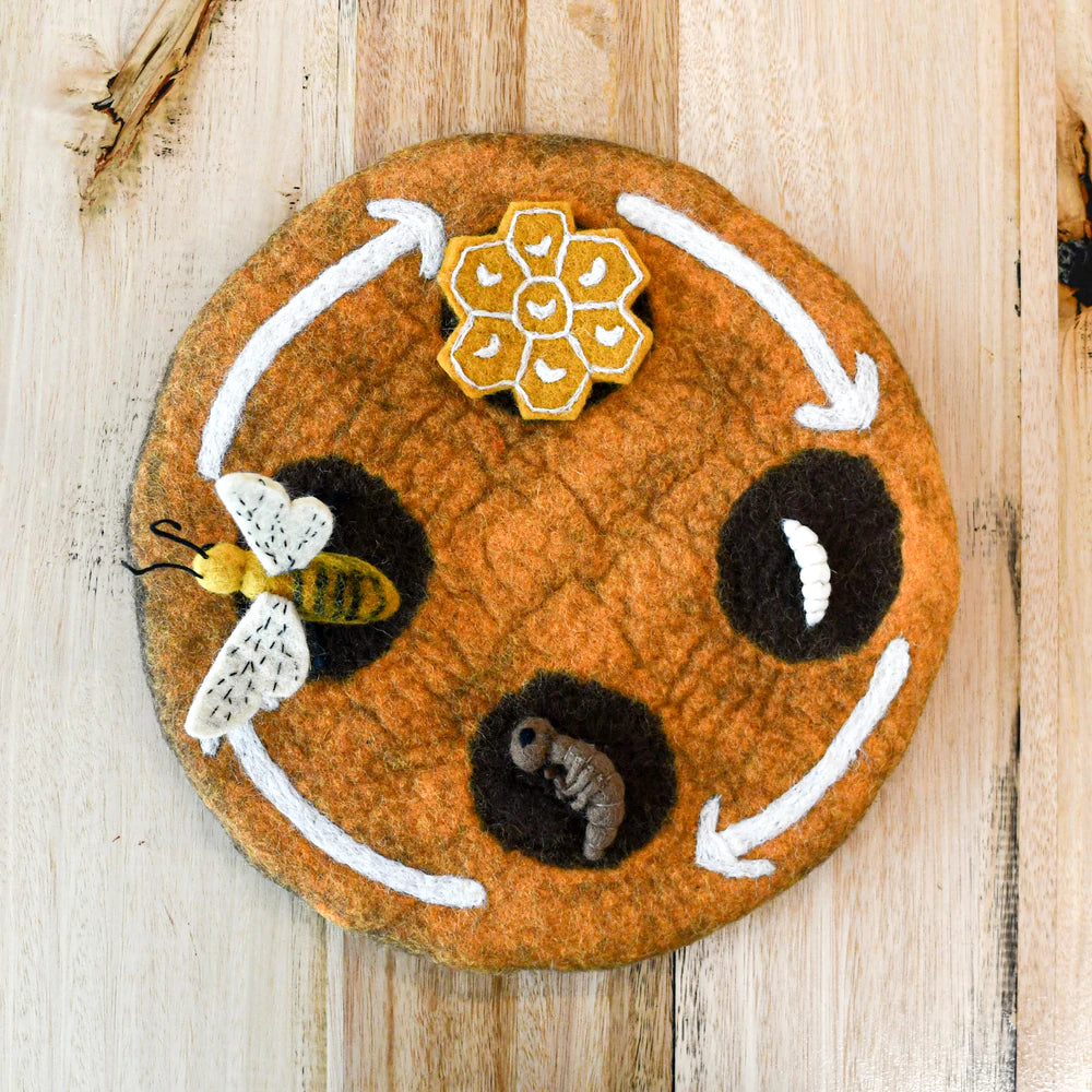 Tara Treasures Felt Lifecycle of a Honey Bee Set