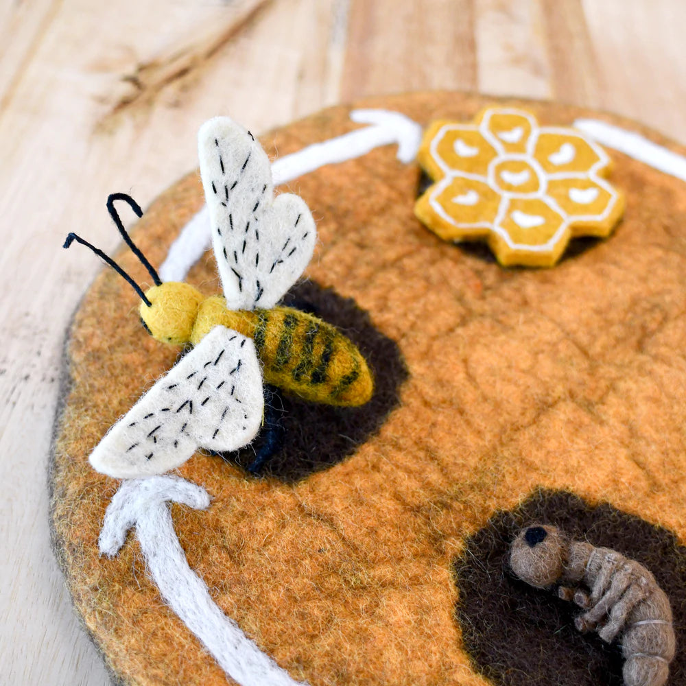 Tara Treasures Felt Lifecycle of a Honey Bee Set