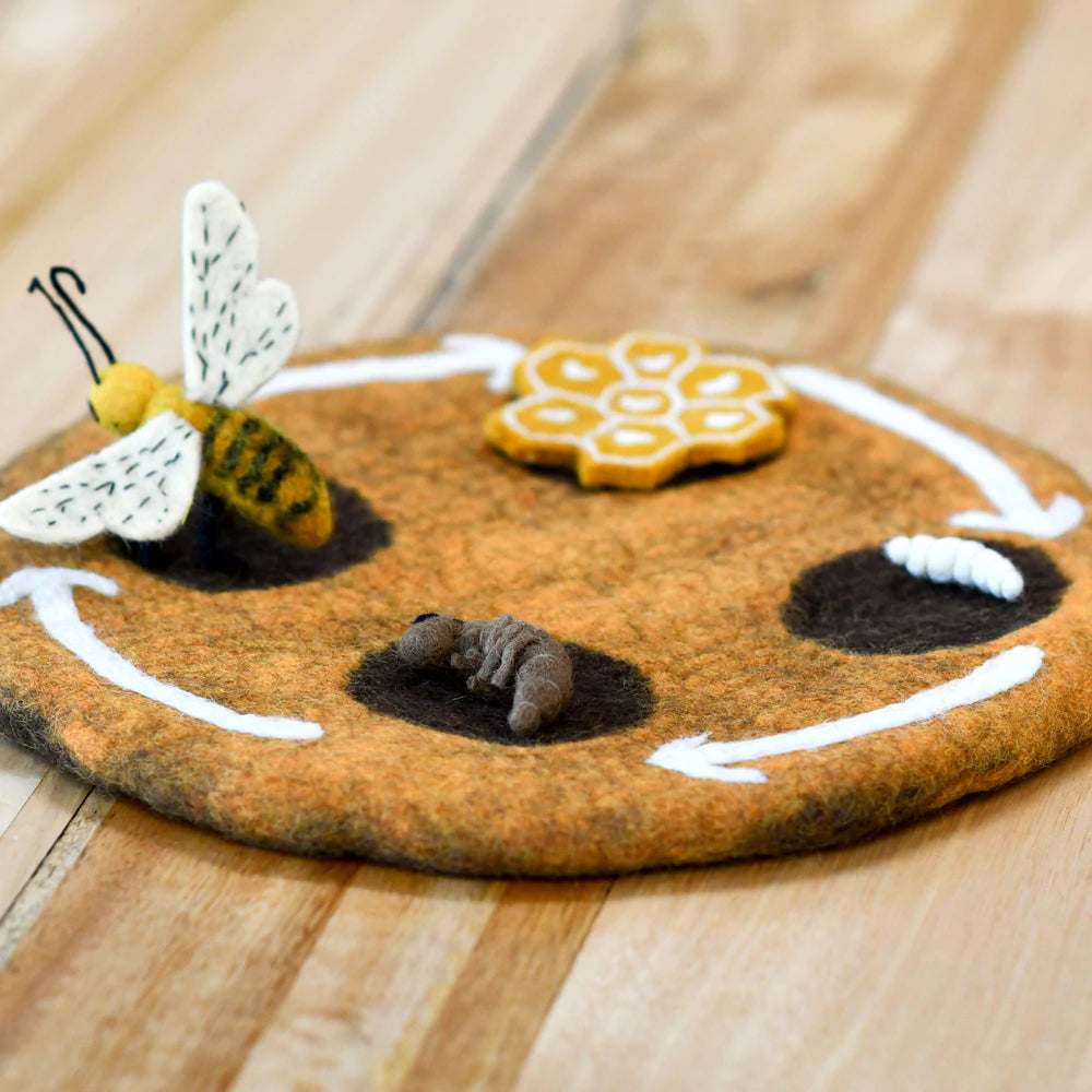 Tara Treasures Felt Lifecycle of a Honey Bee Set
