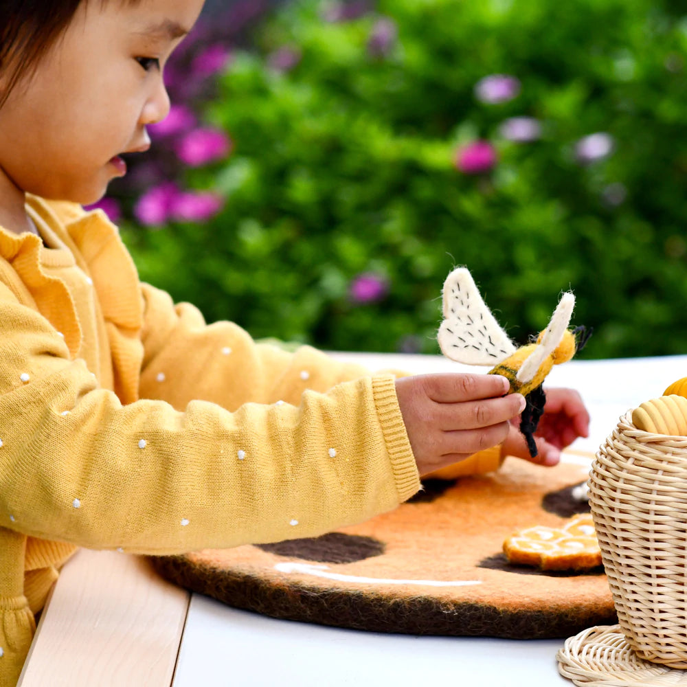 Tara Treasures Felt Lifecycle of a Honey Bee Set