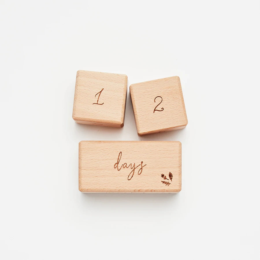 OTD Milestone Wooden Block Set