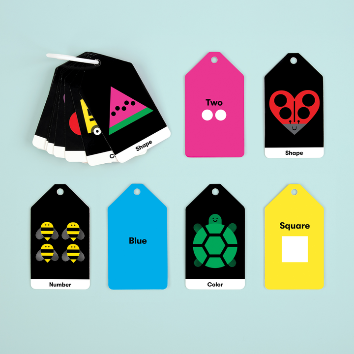 Mudpuppy Flash Cards (Little Learner)