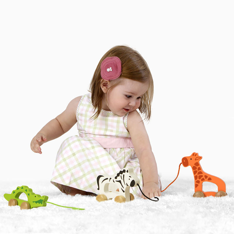 Hape Push & Pull Animal Giraffe E0906