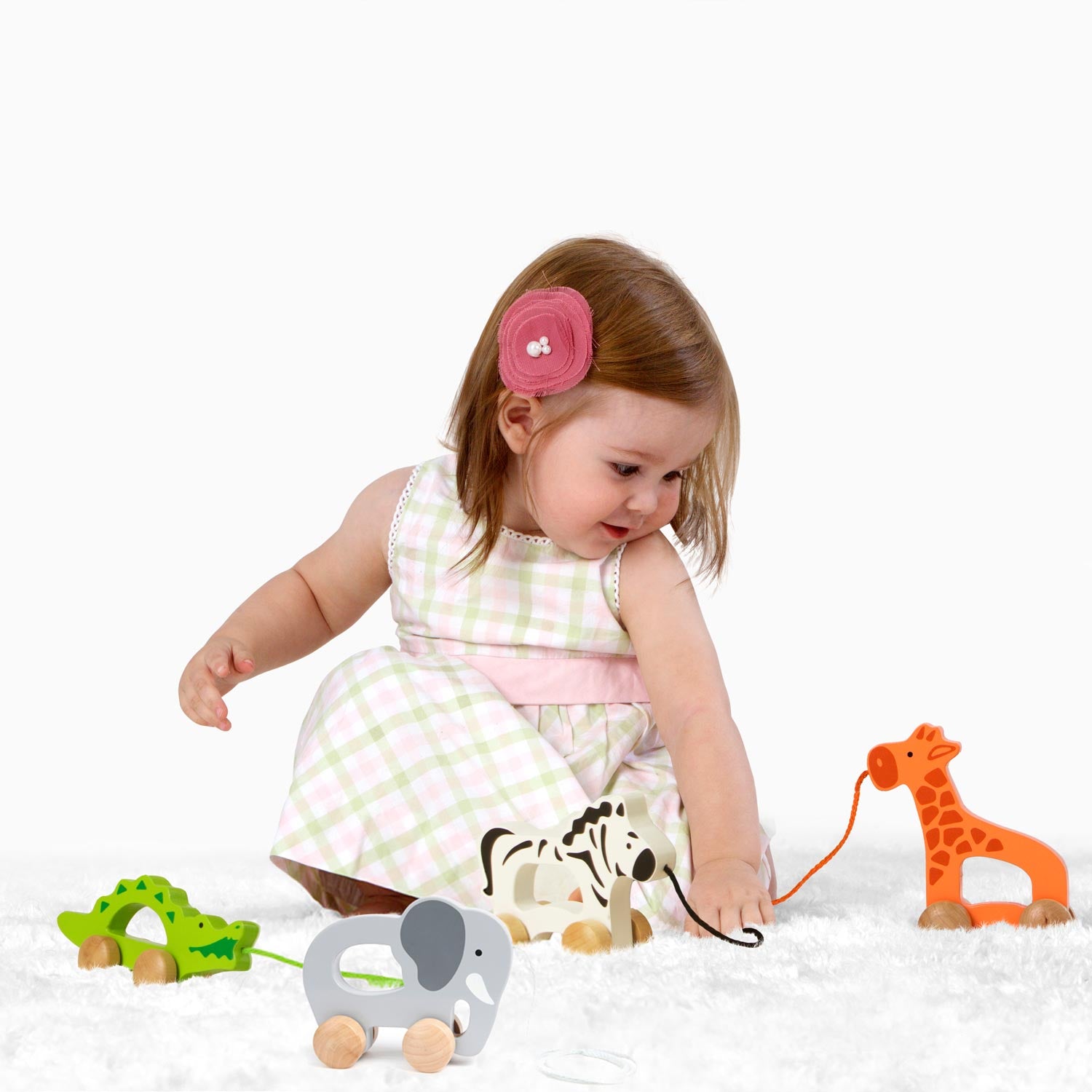 Hape Push & Pull Animal Elephant E0908