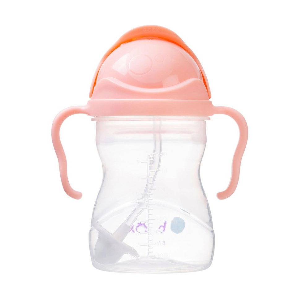 b.box Sippy Cup V2 (Tutti Frutti)