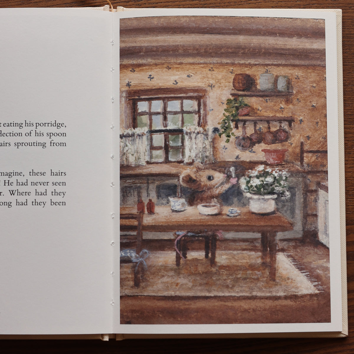 Mr Whiskers Finds His Whiskers Hardcover Book