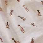 Fledge & Thread