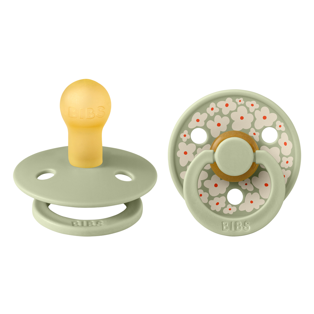 Bibs Dummy Two Pack Studio Colour (Jasmine Sage Mix)
