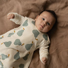 Nature Baby Organic Cotton & Merino Sleeping Bag (Pear Print)