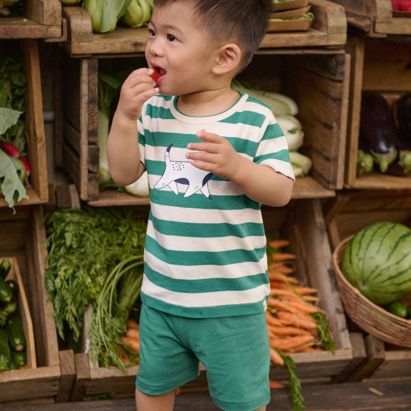 Nature Baby Organic Cotton S/S River Tee (Dog Walk Peppermint Print)