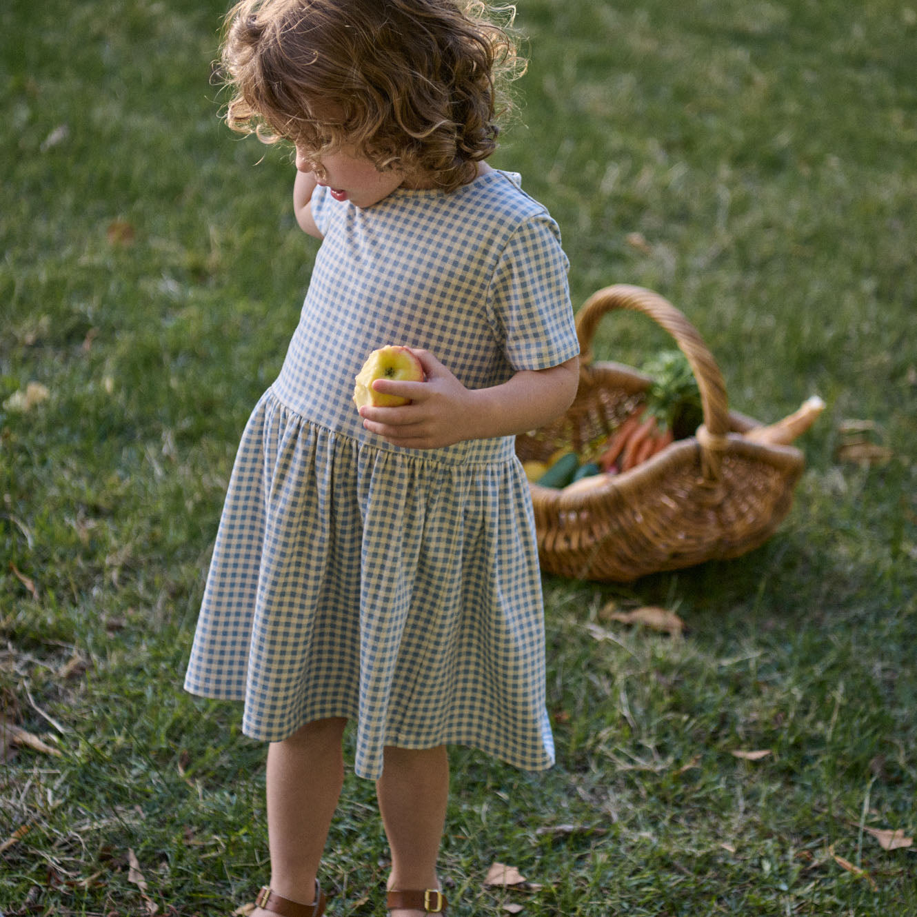Nature Baby Saturday Dress (Blue Gingham)