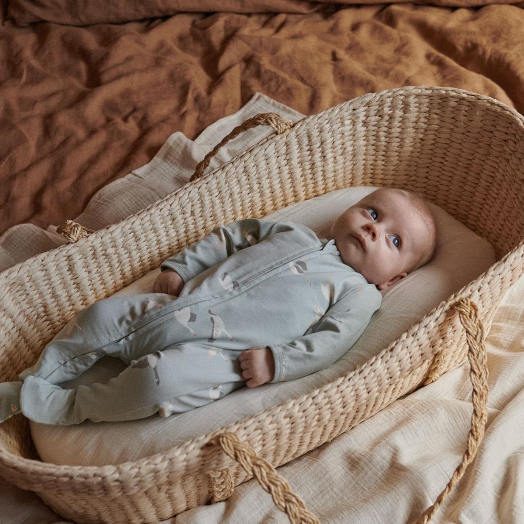 Nature Baby