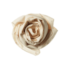 Nature Baby Organic Cotton Wrap (Goosey Natural Print)