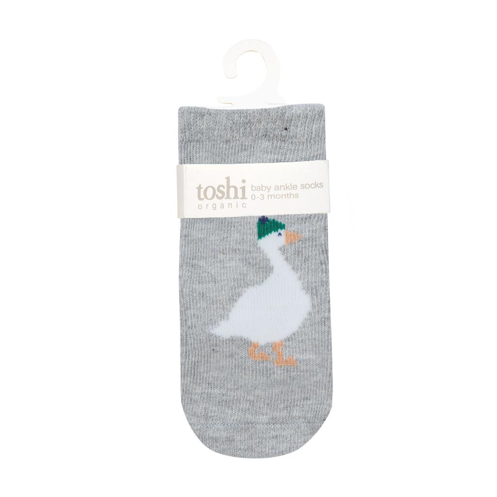 Toshi 