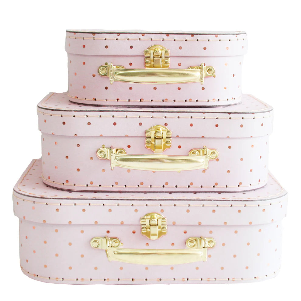 Alimrose Carry Case Set of 3 (Pink Gold Spot)