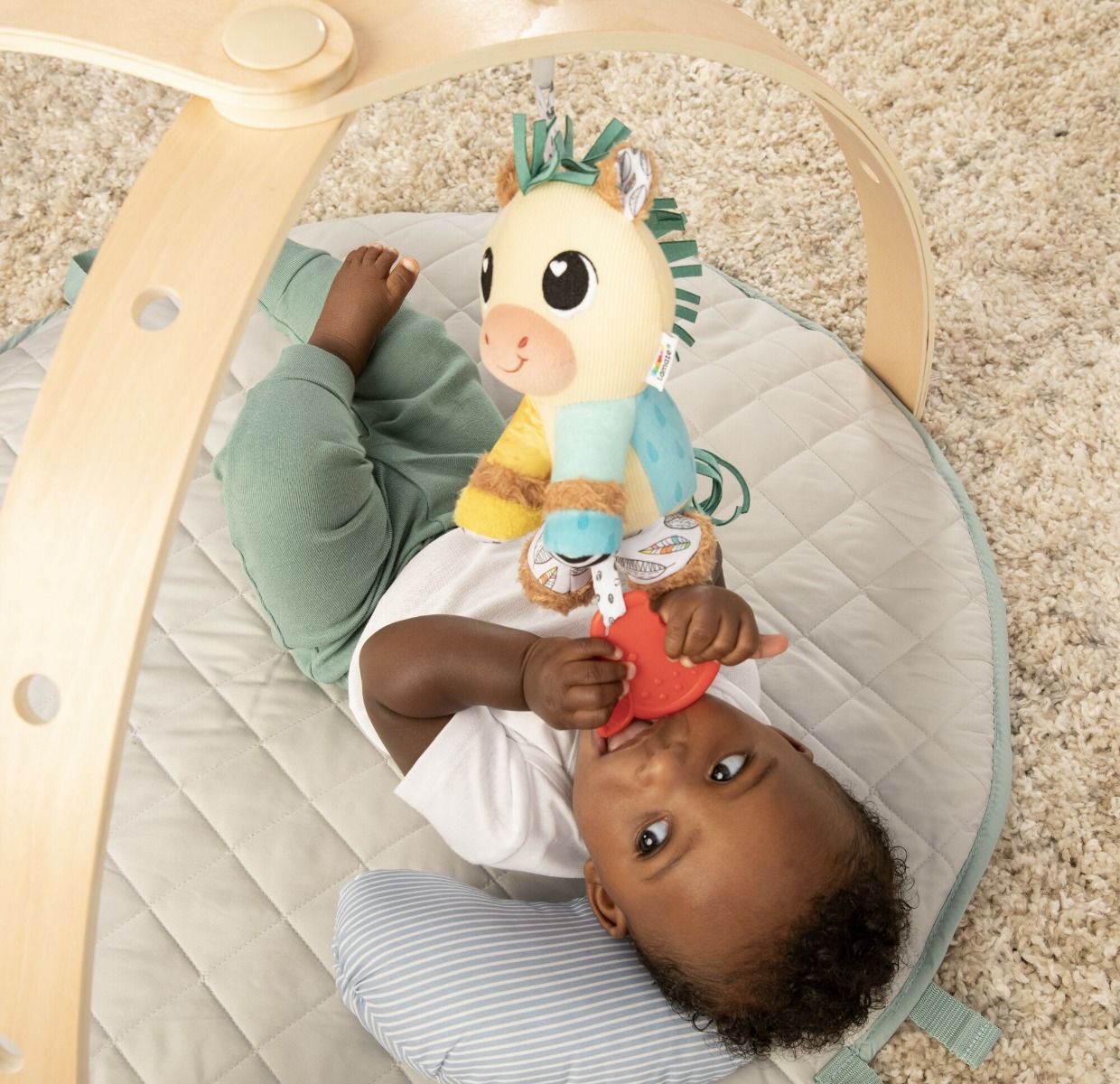 Lamaze Carson Clydesdale