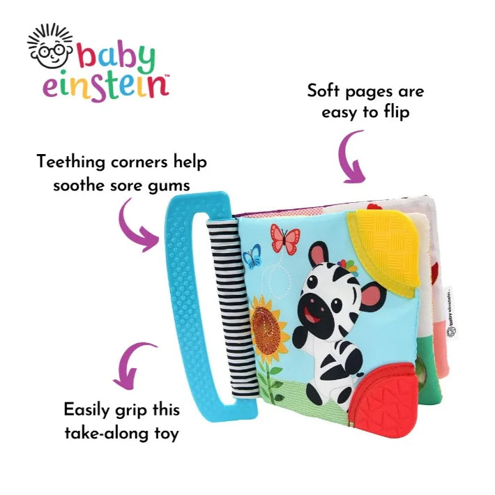 Baby Einstein