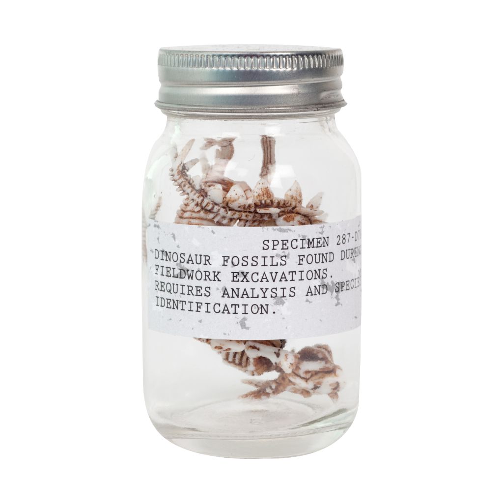 Seedling Dino Fossils In A Jar