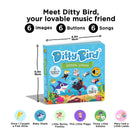 Ditty Bird
