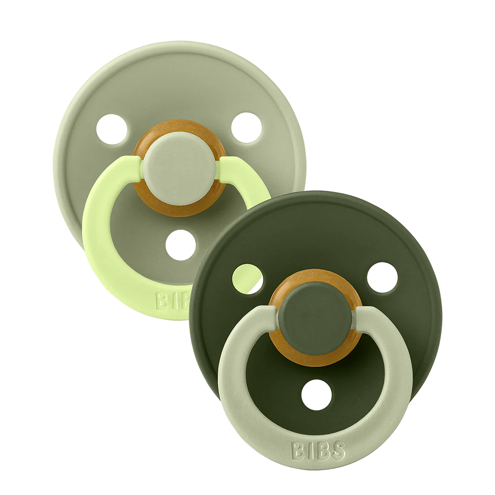 Bibs Dummy Two Pack Studio Colour Fusion (Sage Hunter Green Mix)