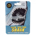 Rex London Grow Your Own Shark