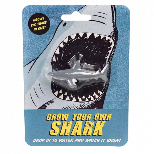 Rex London Grow Your Own Shark