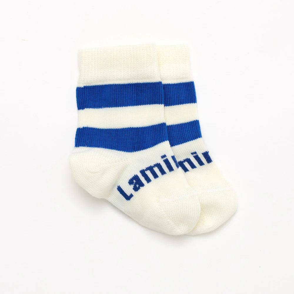 Lamington Socks (Crew - Holland)