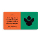 Mudpuppy Jungle Tracks Lift-The-Flap Board Book