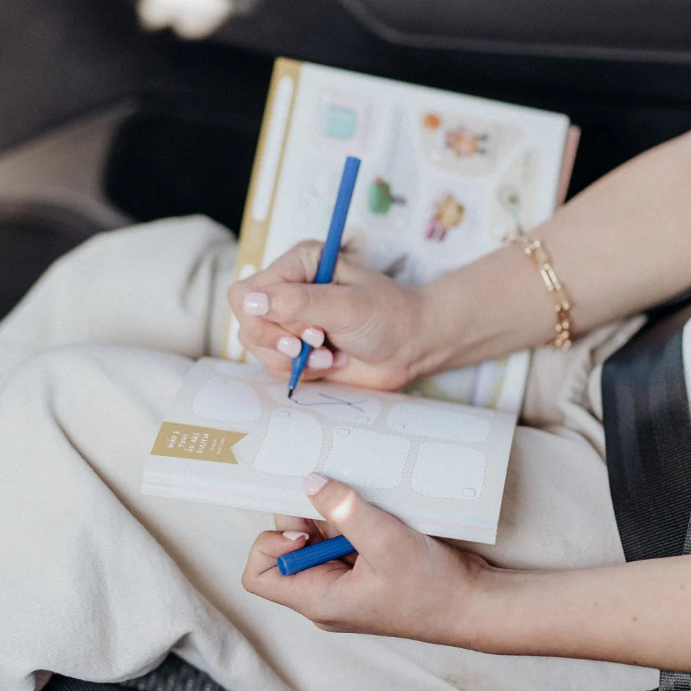 Kuwi & Friends Rapua! I Spy: Kiwi Road Trip