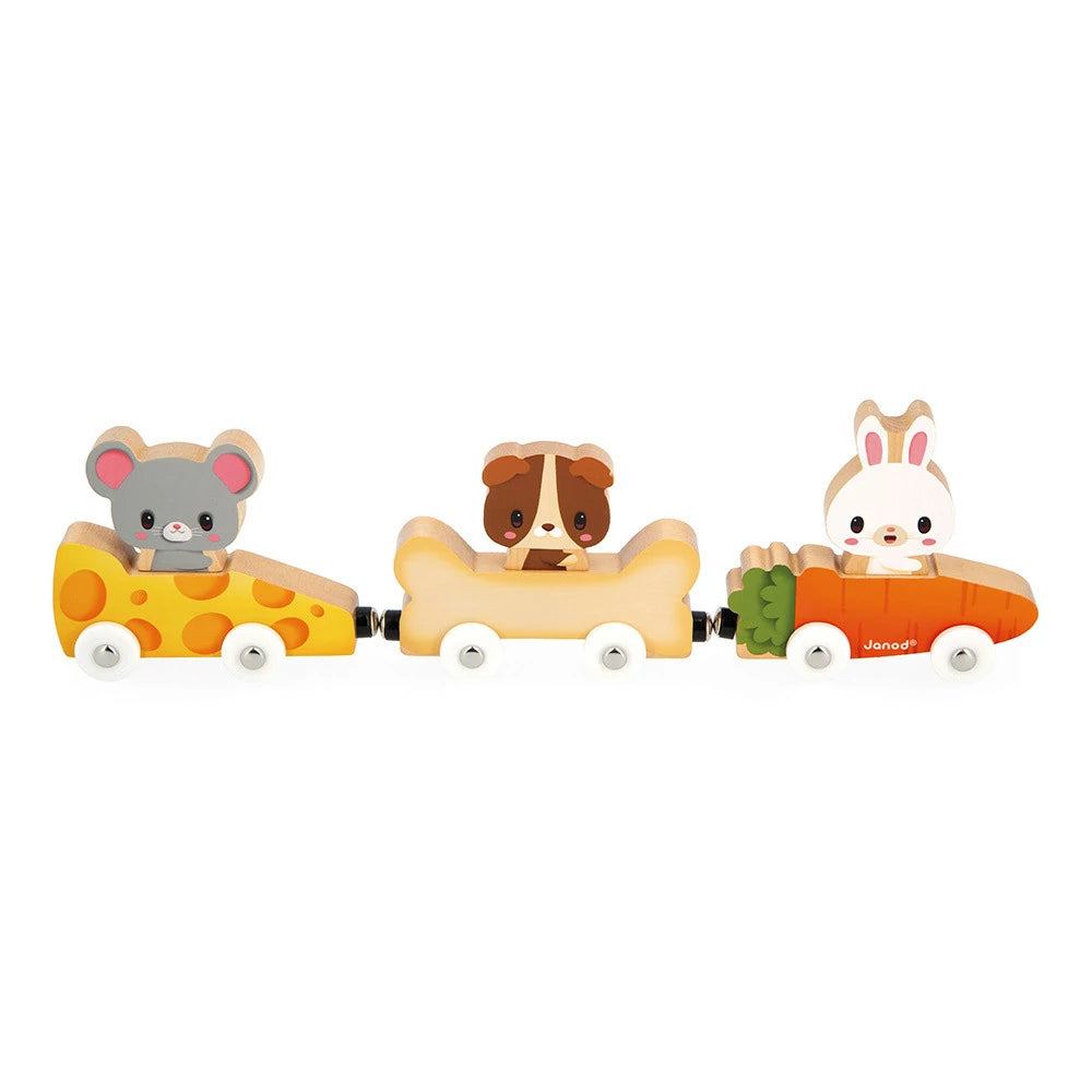 Janod Wooden Magnetic Pet Cars