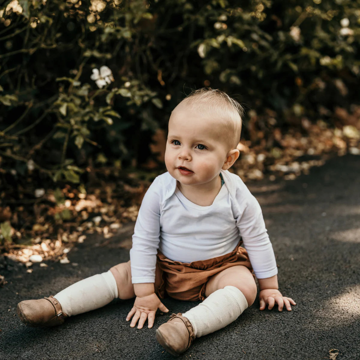 Lamington Socks (Knee High - Owl)
