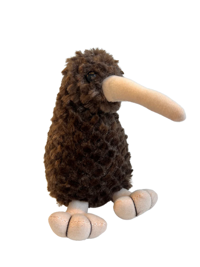Pee Wee the Lonely Kiwi Finds a New Friend Book