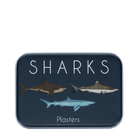 Rex London Plasters In A Tin 30pk (Sharks)