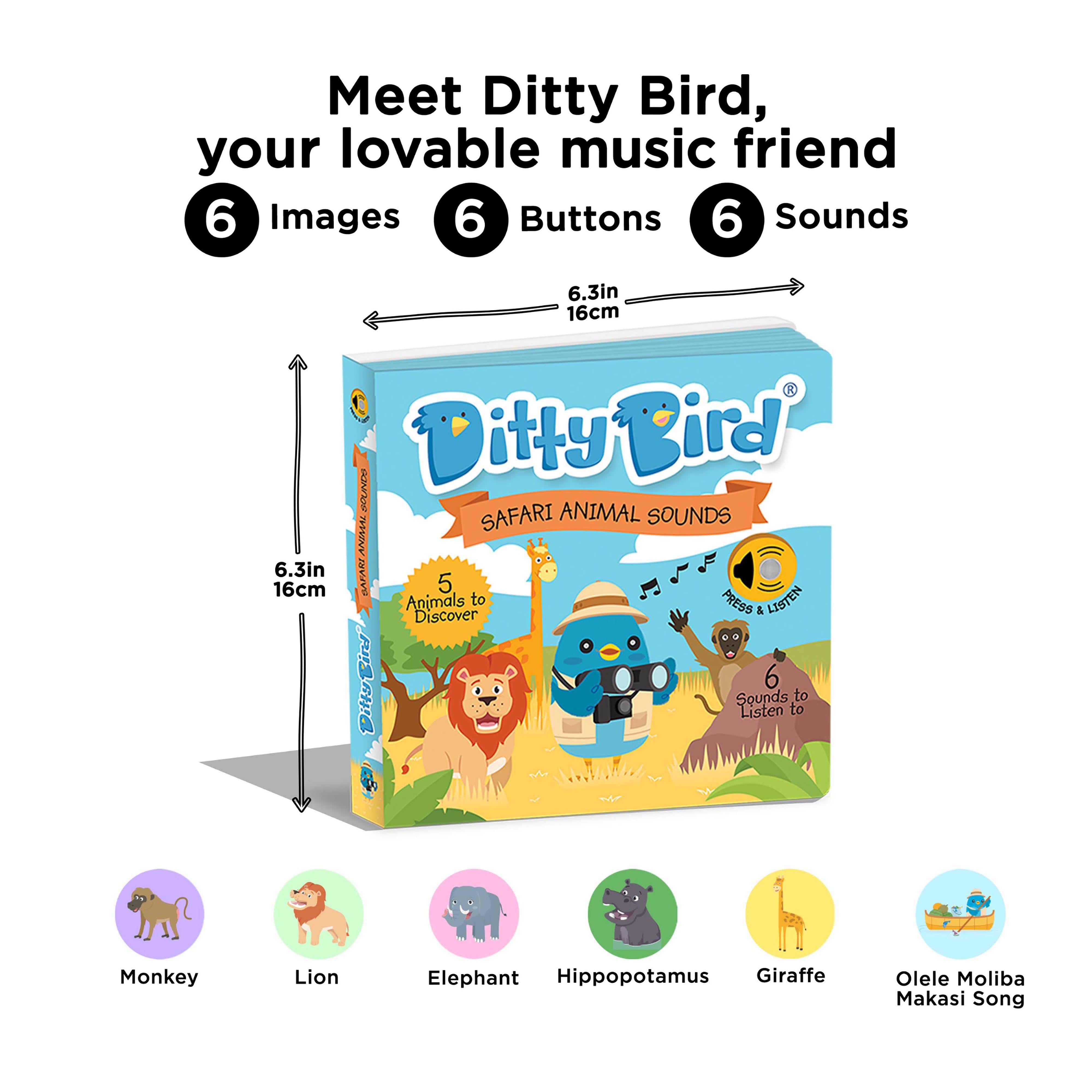 Ditty Bird