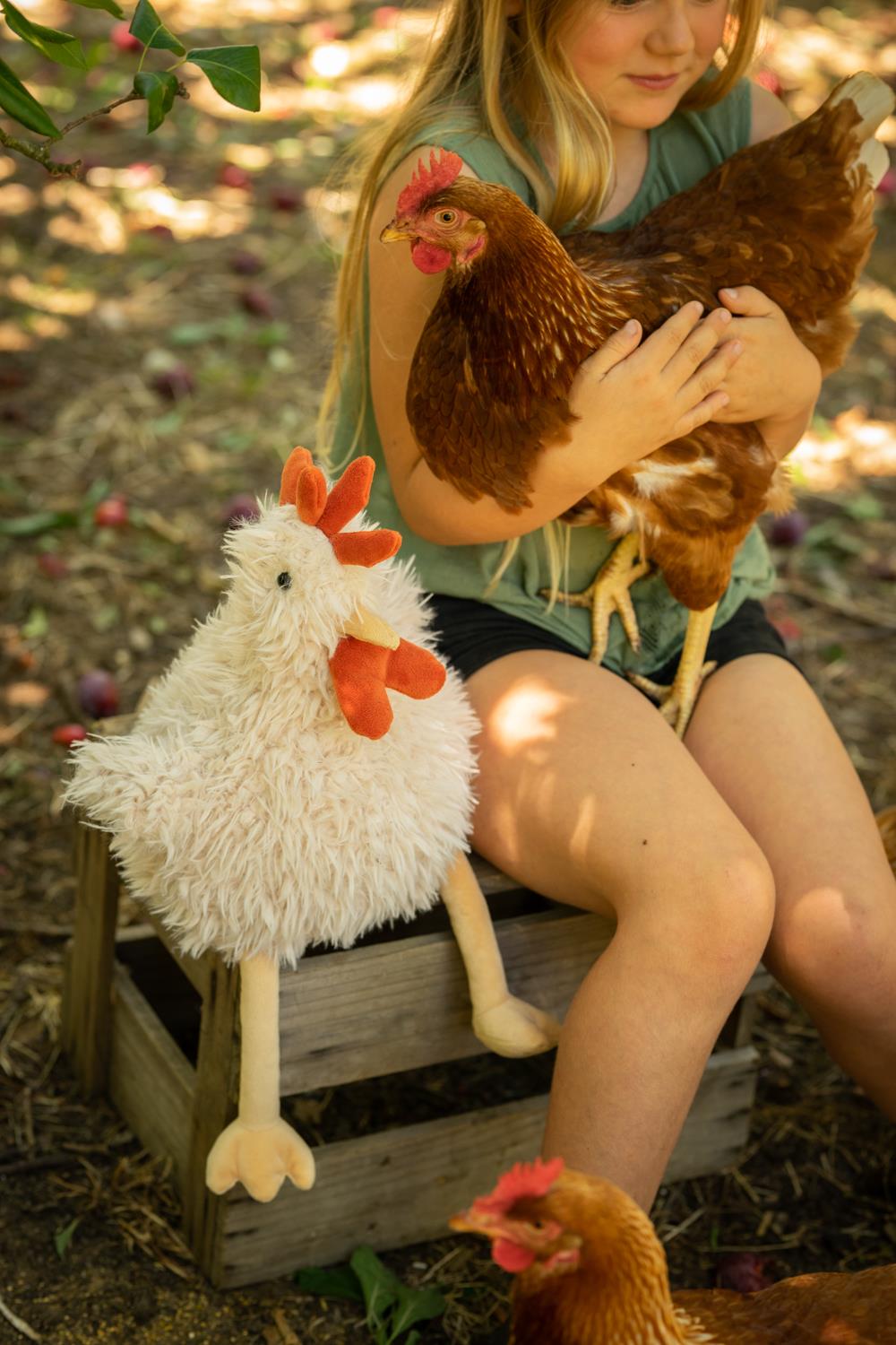 Nana Huchy Roy the Rooster