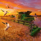 Seasons of John Deere Ravensburger Puzzle (3 x 49pc)