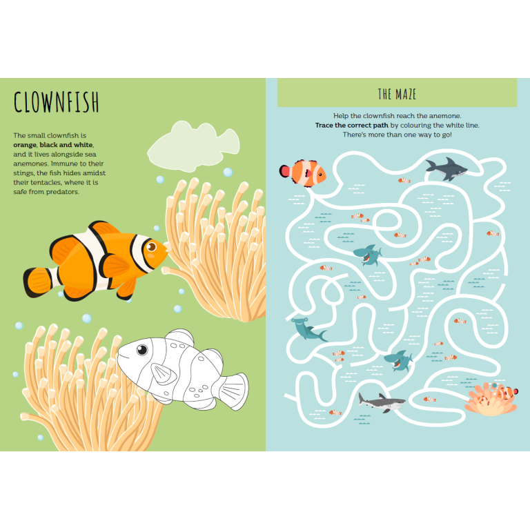 Sassi Stickers & Activities Book (The Sea)