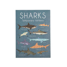 Rex London Temporary Tattoos (Shark)