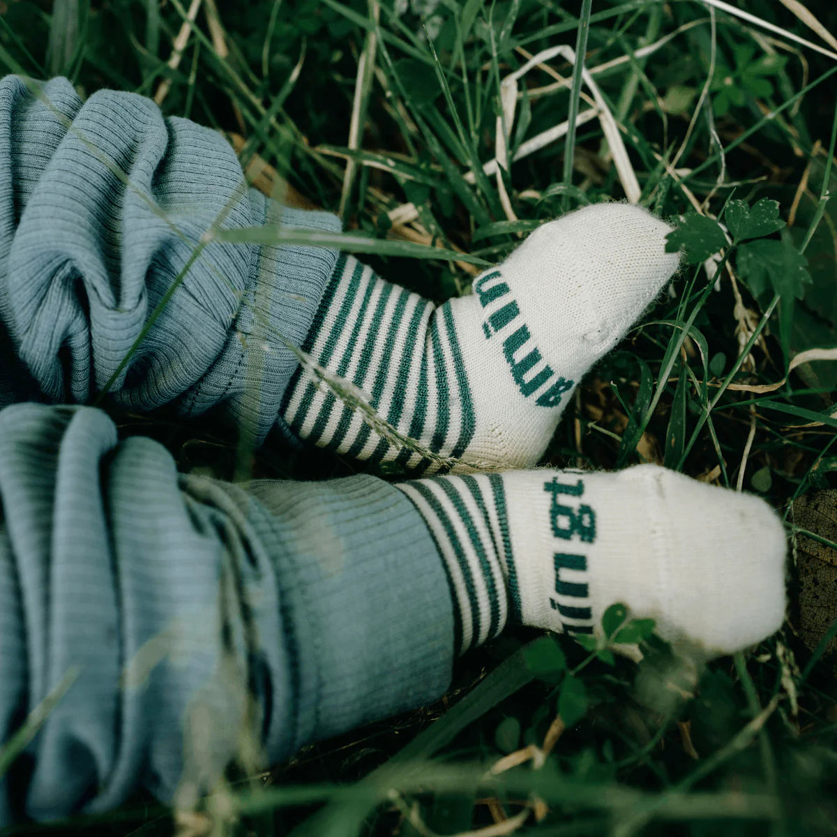 Lamington Socks (Crew - Tui)