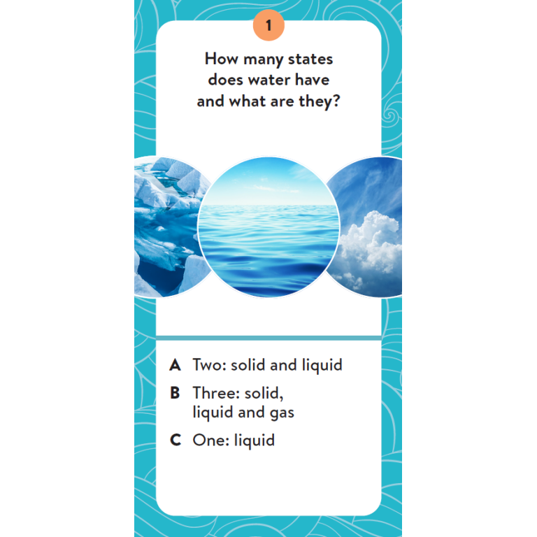 Sassi The Ultimate Atlas & Puzzle Set (The Sea)